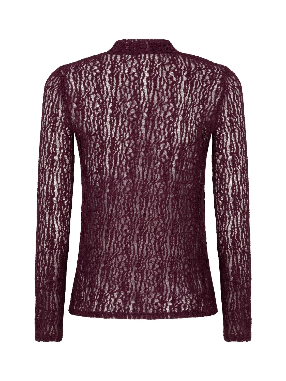 Amiek Roberta top aubergine kant semi-transparant