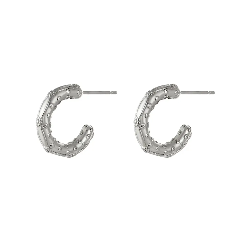 LOVEDRUNKY Steel oorbellen zilver 1,9 cm klein