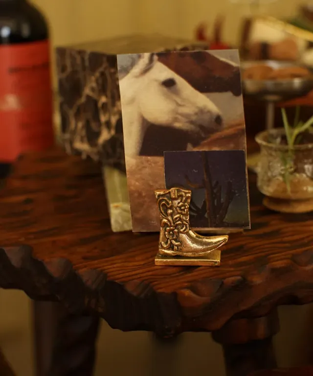 Amiek Dallas Boot memohouder cowboylaars