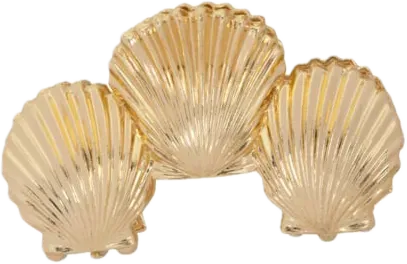 Amiek Golden Shell haarclip goud schelp