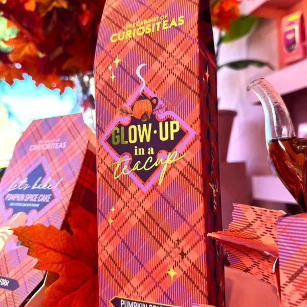 Amiek Pumpkin Spice thee giftbox tartan 70 gram