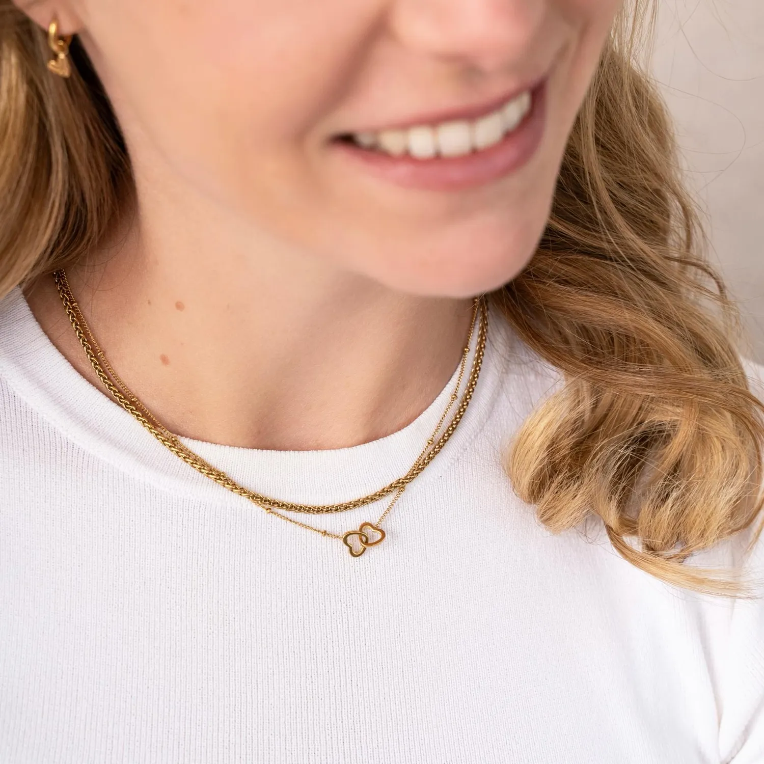Amiek Share Hearts ketting stainless steel