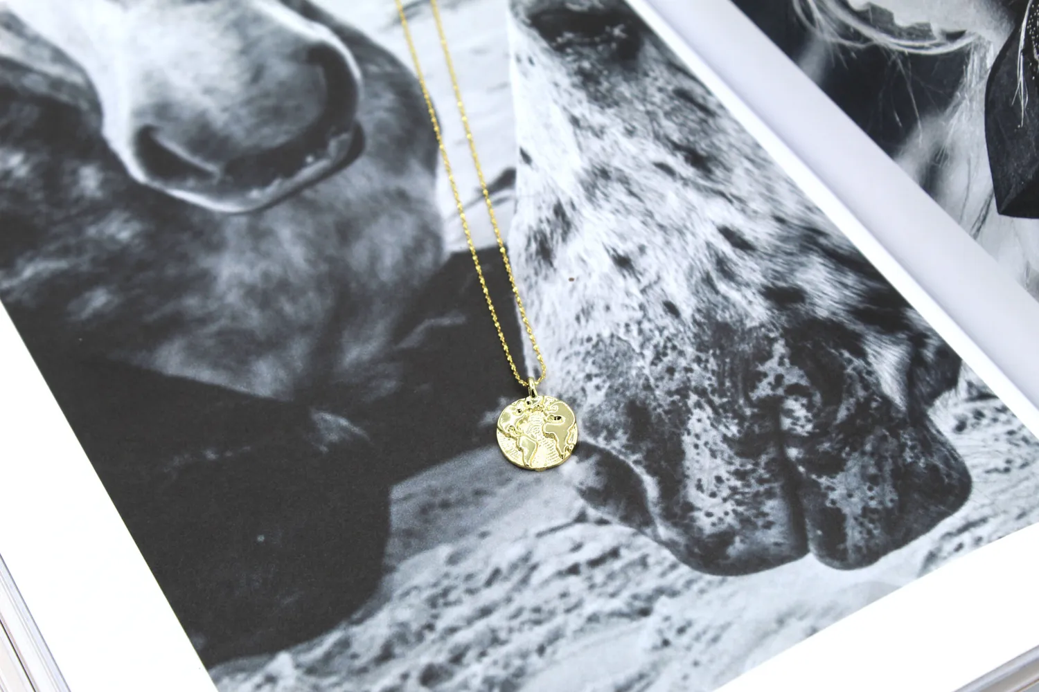LOVEDRUNKY World ketting goud 45 cm wereld
