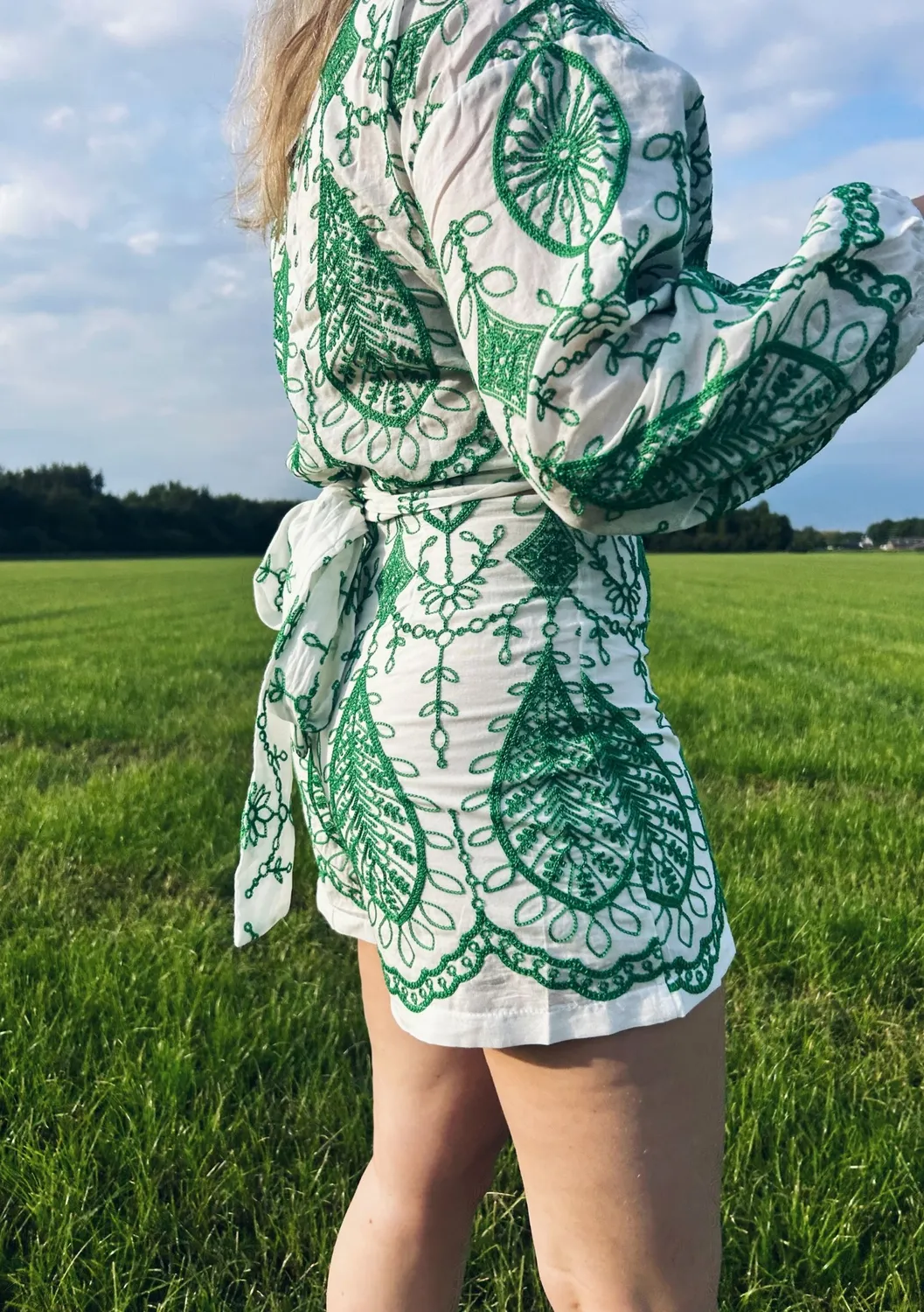 LOVEDRUNKY Embroidery short groen gevoerd